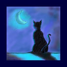 nathalie-antalvari-kat-in-maanlicht